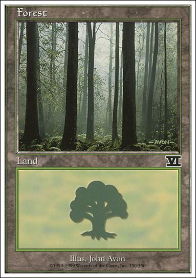 Magic the Gathering: 6th Edition (Base Set) card 350 Forest