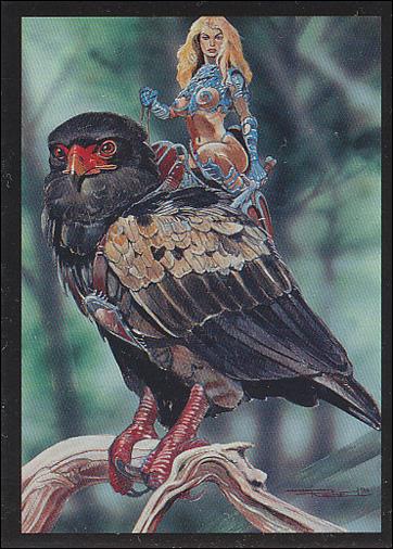 Sirius Gallery (Base Set) card 53 Falconer
