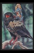 Sirius Gallery (Base Set) card 53 Falconer