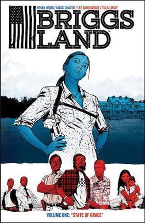 Briggs Land Cover Image 1