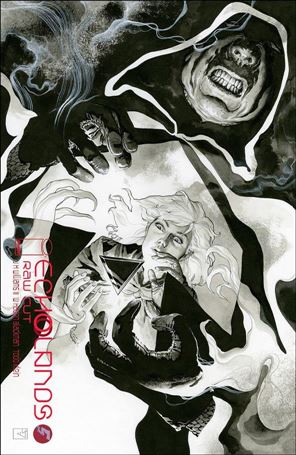 Echolands issue 5-C J.H. Williams III Raw Cut Edition Cover