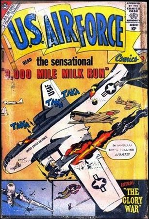 U.S. Air Force issue 11