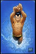 Marvel Universe: Exclusives (Promo) card SD2 Namor