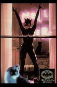 Batman Returns Stadium Club (Base Set) card 13 Catwoman