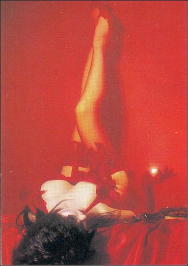 Elvira Mistress of the Dark (Base Set) card 28