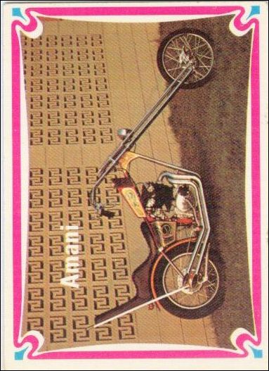 Choppers & Hot Bikes (Base Set) card 20 Amani
