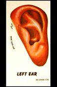 Get Smart (Secret Agent Kits Subset) card 2 Left Ear