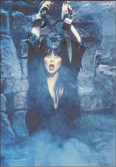 Elvira Mistress of the Dark (Base Set) card 59