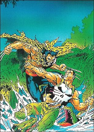 Wolverine: From Then 'Til Now II (Base Set) card 67 Punisher