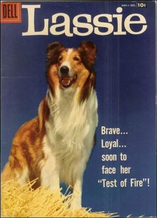 Lassie (1950) issue 37