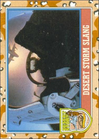 Desert Storm: Series 2 (Base Set) card 145 Desert Storm Slang