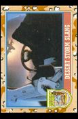 Desert Storm: Series 2 (Base Set) card 145 Desert Storm Slang