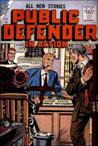 Public Defender in Action issue 7