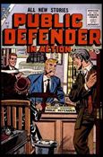 Public Defender in Action Cover Image 1