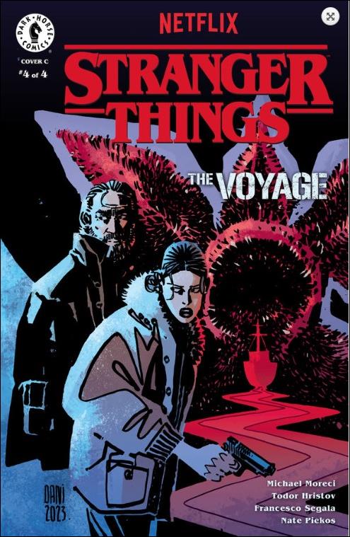 Stranger Things : The Voyage issue 4-C DaNi Cover