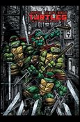 Teenage Mutant Ninja Turtles: The Ultimate Collection issue 5