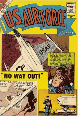 U.S. Air Force issue 13