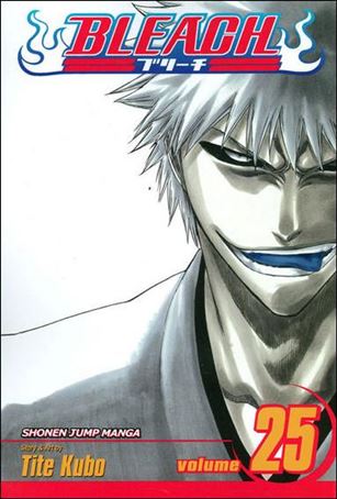 Bleach issue 25