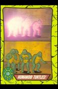 Teenage Mutant Hero Turtles (Ireland) (Base Set) card 13 Humanoid Turtles!