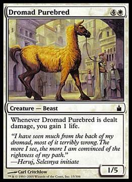 Magic the Gathering: Ravnica (Base Set)  card 15 Dromad Purebred