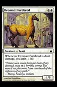 Magic the Gathering: Ravnica (Base Set)  card 15 Dromad Purebred