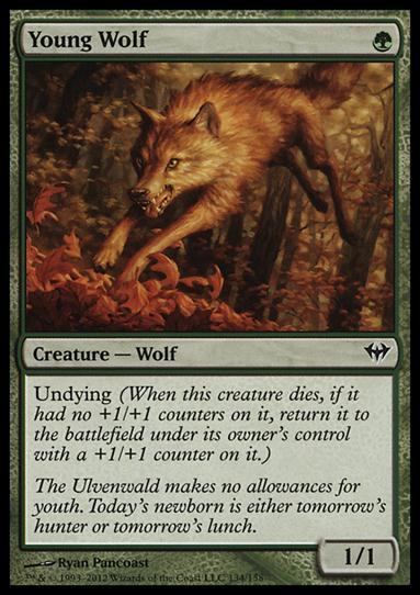 Magic the Gathering: Dark Ascension (Base Set) card 134 Young Wolf