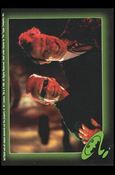 Batman Forever Stickers (Base Set) card 59 Joy of Fiendship