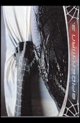 Spider-Man 3: The Movie (Base Set) card 42