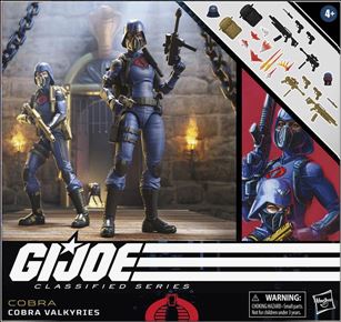 G.I. Joe: Classified Series (6