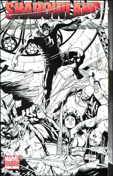 Shadowland (2010) issue 1-C Billy Tan Wraparound Black and White MRRC Cover