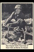 Gomer Pyle (Base Set) card 53 Hope Sergeant Carter Found Some of Those Fruits 