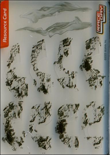 NASCAR Race Day 2005 (Base Set) card NN Resource Card