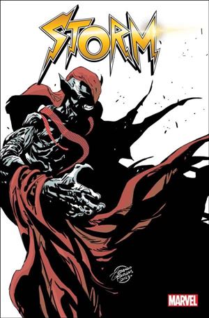 Storm (2023) issue 5-B Geraldo Borges Cover