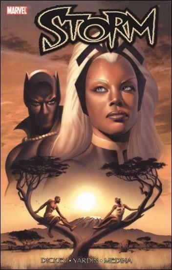 Storm (2008) issue nn