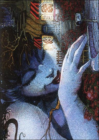 Art Suydam (Base Set) card 89 Twilight
