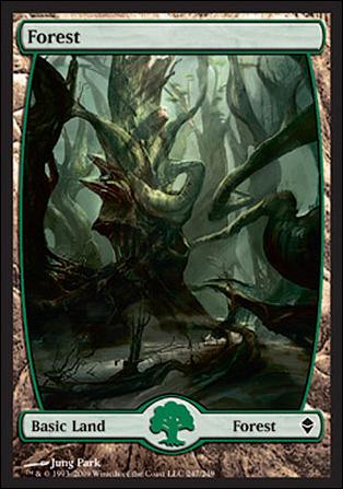 Magic The Gathering: Zendikar (Base Set) card 247 Full Art Lands (Forest)