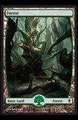 Magic The Gathering: Zendikar (Base Set) card 247 Full Art Lands (Forest)