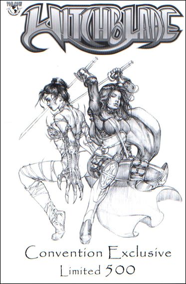 Witchblade (1995) issue 64-C JayCompany 2003 Comic Con Intl. Sketch Cover 1/500