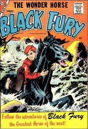 Black Fury issue 12
