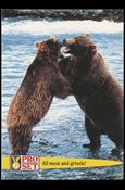 Guinness World Records (Base Set) card 52 All meat and grizzle!