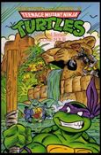 Teenage Mutant Ninja Turtles (1991) Cover Image 2