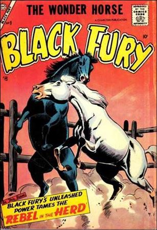 Black Fury issue 9
