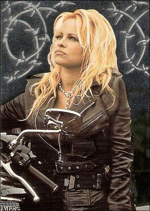 Barb Wire (Laser Cut Subset) Cover Image 1
