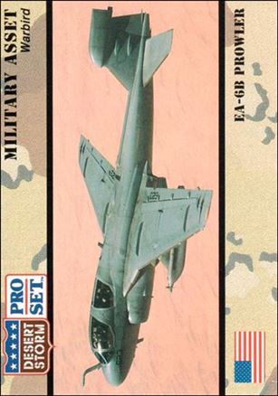 Desert Storm (Base Set) card 248