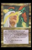 Magic the Gathering: Alliances (Base Set) card 111 Nature's Blessing