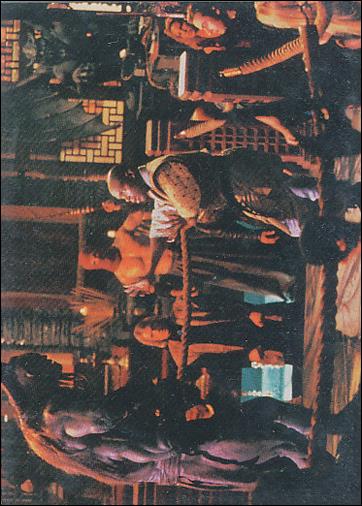 Mortal Kombat (Base Set) card 48 Goro in the Ring