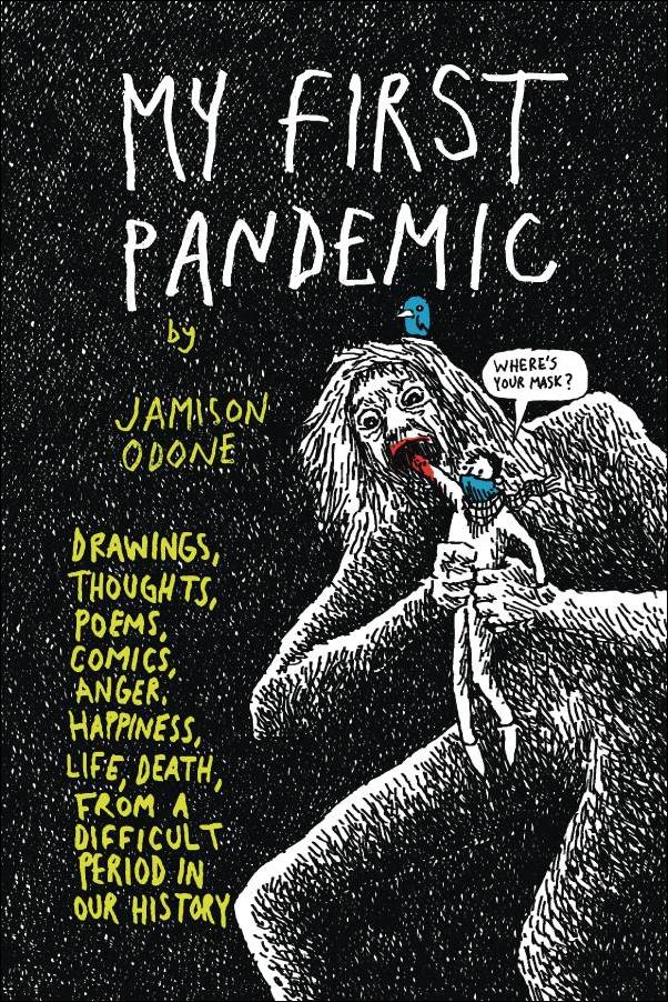 My First Pandemic issue nn