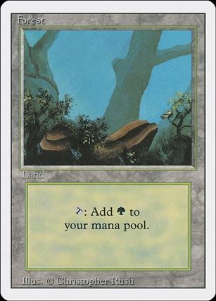 Magic the Gathering: Revised (Base Set) card 296-B Forest
