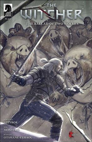 Witcher: The Ballad of Two Wolves issue 1-D David Lopez Cover