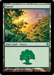 Magic the Gathering: Duel Decks: Ajani vs. Nicol Bolas card 39 Forest